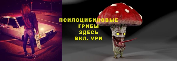 ECSTASY Вяземский