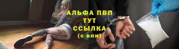 ECSTASY Вяземский