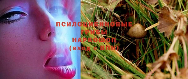 ECSTASY Вяземский